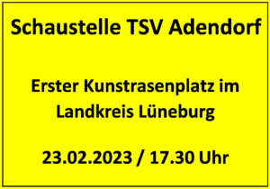 Schaustelle TSV Adendorf/ Lesung mit Michael Krüger @ Sportplatz TSV Adendorf | Adendorf | Niedersachsen | Deutschland